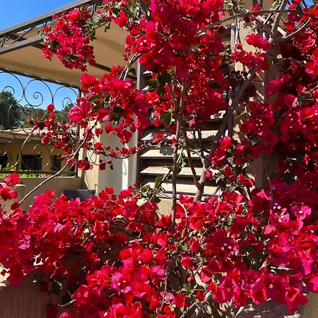 호텔 Les Jardins Sta Giulia Avec Piscine