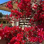 Hotel Les Jardins Sta Giulia Avec Piscine