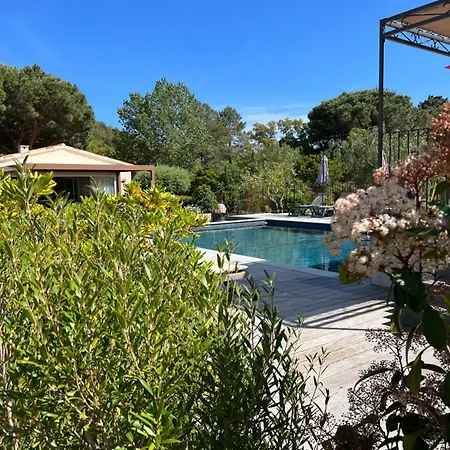 Hotel Les Jardins Sta Giulia Avec Piscine