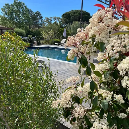 Les Jardins Sta Giulia Avec Piscine Отель Порто-Веккьо