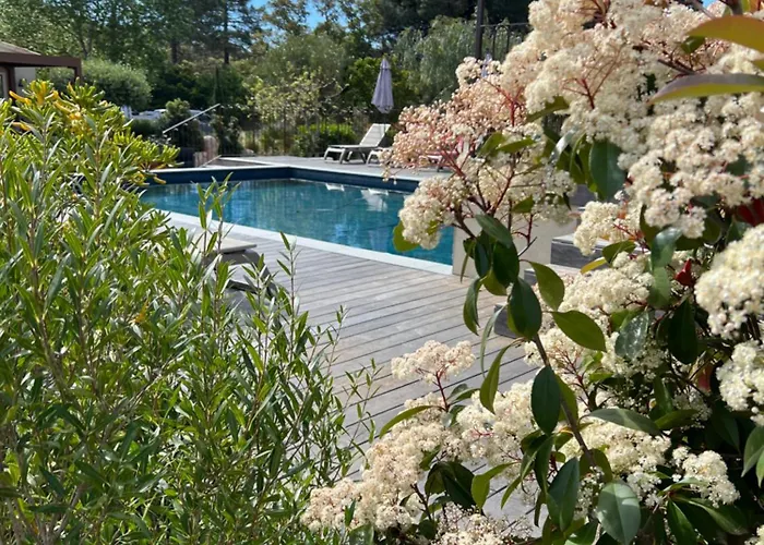 Les Jardins Sta Giulia Avec Piscine Hotel Porto-Vecchio (Corsica)