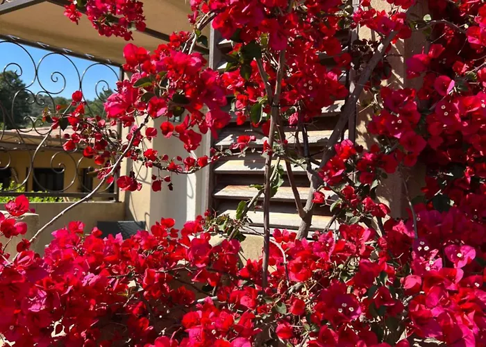 Hotel Les Jardins Sta Giulia Avec Piscine